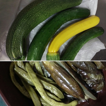 産地直送野菜とシルエットアート♪