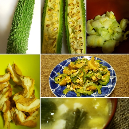 ゴーヤは全部食べられる!!＼(☆ｏ☆)／