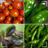 無農薬野菜頂いて♪ 2020/09/18 21:04:29