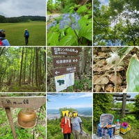 飛騨の森フェスin原山 2021/06/12 20:26:36