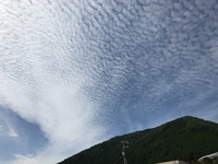 秋空でした