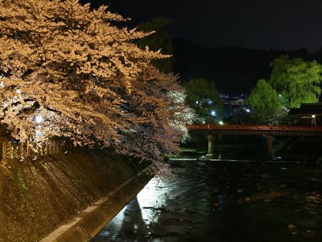 桜も散って