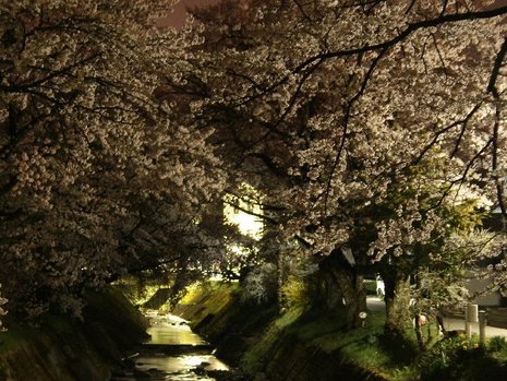 桜も散って
