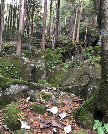 恵那　笠置山の巨石めぐり　その２