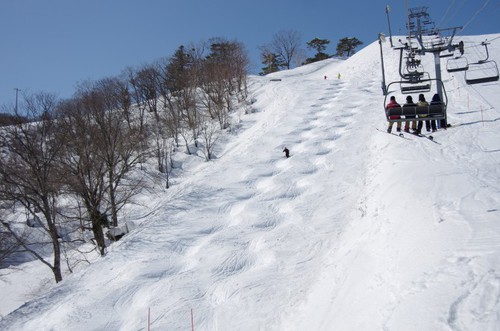 DYNALAND CUP MOGUL 2018 開催!!