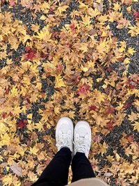 高山で紅葉が一番綺麗なところ