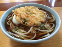新井のうどんが、恋しい (T . T)
