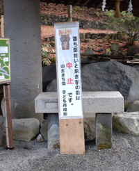 焼き芋　中止・・・・ 2022/11/20 07:48:48