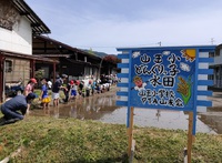 どんぐりっ子水田　田植えしました！ 2021/05/14 15:14:06