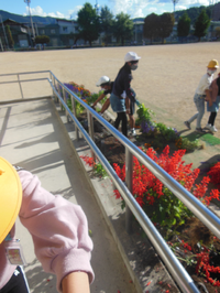 秋の花いっぱい運動 2020/10/20 10:05:47