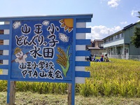 どんぐりっ子水田　稲刈り 2021/09/16 10:58:10