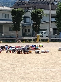 山王小のダンゴムシ？？ 2021/07/19 13:56:24