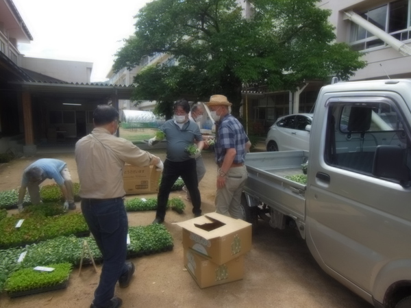 花苗到着2