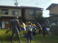 天高く・・・　どんぐりっこ水田の稲刈り 2020/09/23 15:50:23