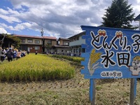 どんぐりっ子水田　稲刈り 2023/09/15 14:58:36