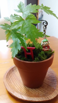 茅の輪くぐり 2020/06/27 19:01:12