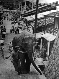 昔の山王地区　城山でのサーカス興行 2020/07/20 08:00:00