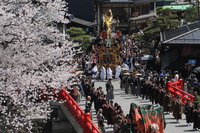 春祭りの音が・・・ 2021/03/18 13:51:09