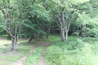 【地域の史跡６】　舊山王宮跡　昔の日枝神社 2020/05/30 08:00:00