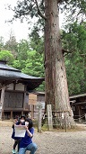 山王さんぽオリエンテーリング 2022/06/27 18:10:21
