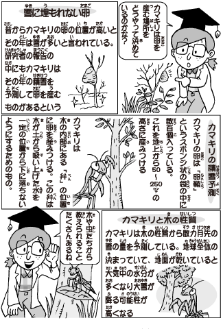 かま