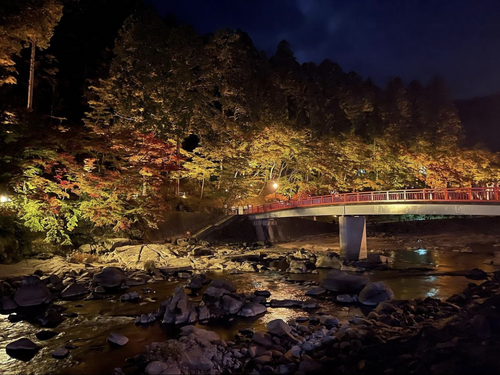 秋といえば紅葉　愛知県の大人気スポット‼