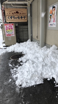 寒かった冬 2021/03/08 14:41:56