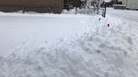 駐車場は大雪原になってしまいました（ ;  ; ） 2022/12/28 06:39:07