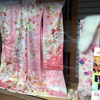 ふりそで展 開催中☆ 2016/02/27 13:06:18