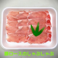 断面の美しさに惚れた❤️
