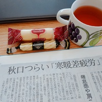 【効果あり！？】寒暖差疲労対策 2023/09/05 13:19:39