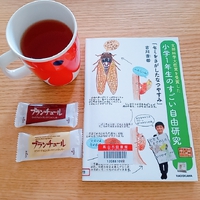 夏休みの自由研究におススメの本