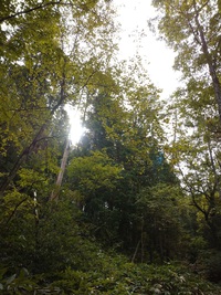 飛騨の秋を満喫 2021/10/20 11:45:47