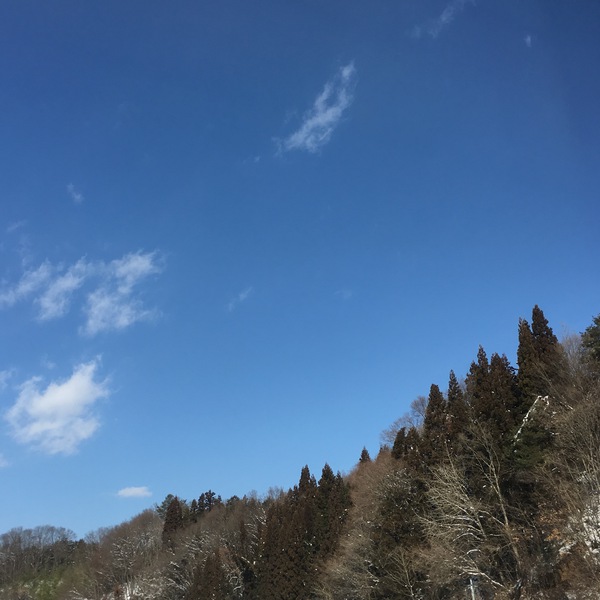 こんにちは！