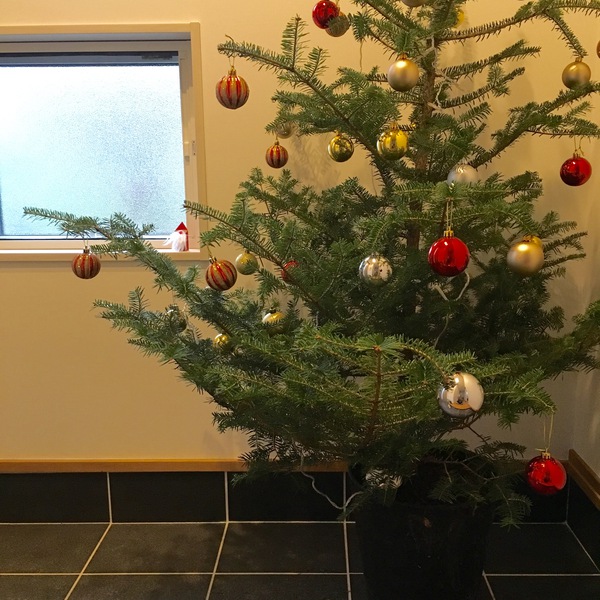 クリスマス☆
