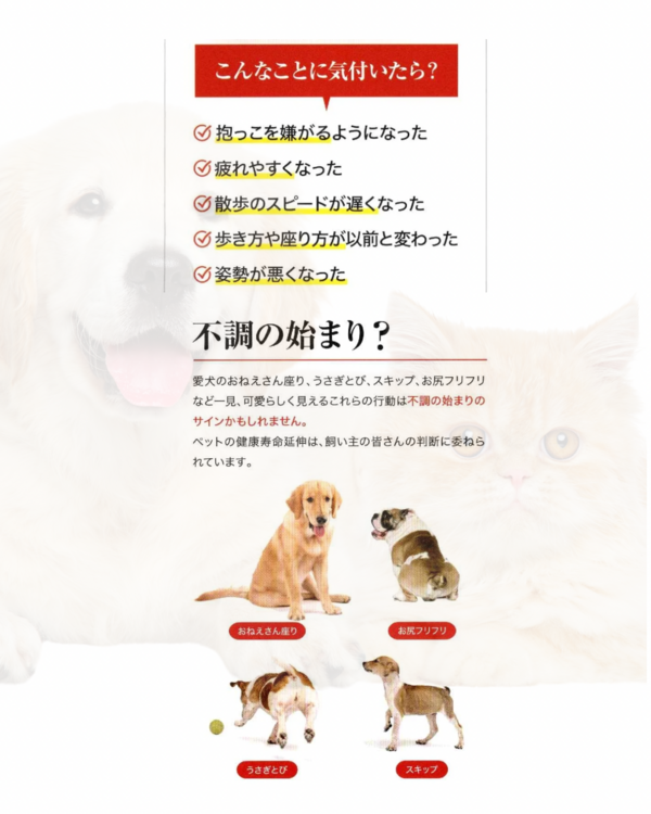筋膜リリースって何ですか？