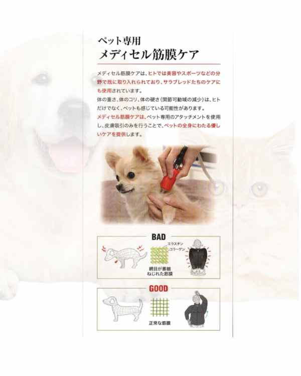筋膜リリースって何ですか？