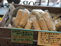 野村農園さんのホワイトコーン販売してます！！