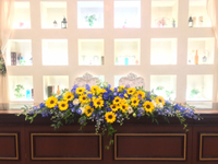 ミニオンカラー 2019/11/28 15:00:00