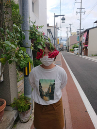 赤いバラ 2020/06/13 13:00:00