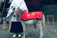 出発式 2019/11/30 13:09:00