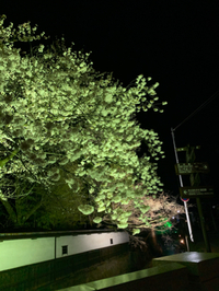 4月が終わる 2020/04/30 22:00:00
