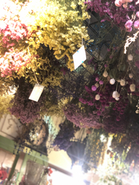 #ドライフラワー　 2020/01/15 09:49:00