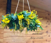flyingwreath of mimosa！ 2020/01/22 21:00:00