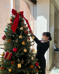 クリスマスツリー出現 2022/11/14 12:14:47