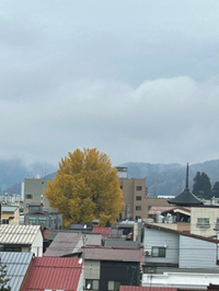 蜜いっぱいのりんご納品されました 2022/11/20 13:44:30