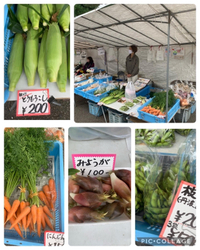陣屋朝市でお買い物 2022/10/06 12:14:57