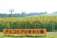 アルコピアひまわり園 2022/08/13 14:35:48