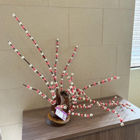 よしま農園さんの花もち 2022/12/28 14:13:01