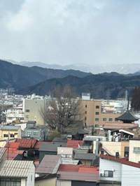 三寒四温の季節です 2023/02/15 15:51:09